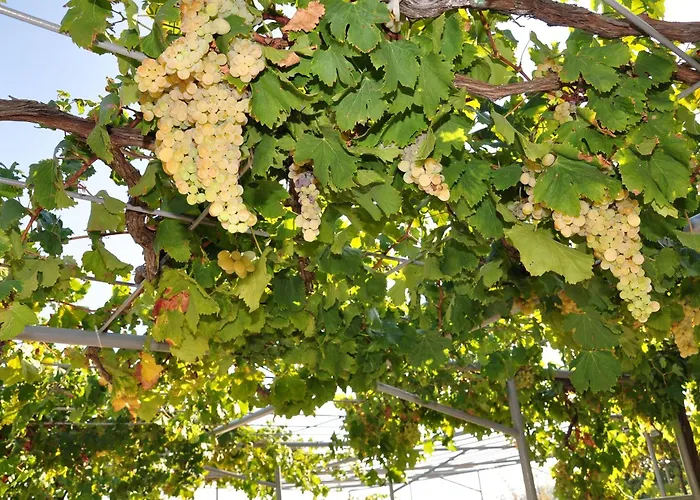 Bm St2 Apartment Split