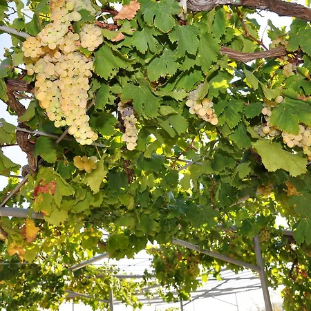 Bm St2 Apartmán Split